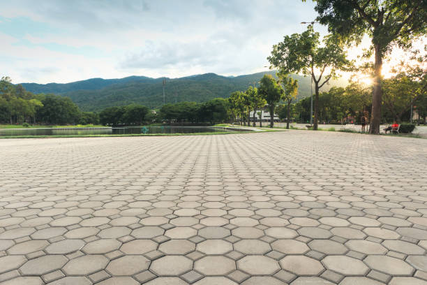 Best Decorative Driveway Pavers  in Willamina, OR