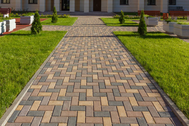 Best Driveway Paving Contractor  in Willamina, OR